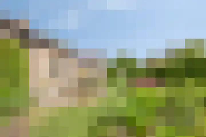 Boereweide 3 Oosterwolde thumbnail 22