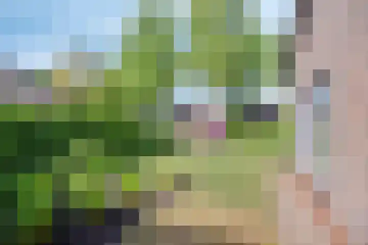 Boereweide 3 Oosterwolde thumbnail 23