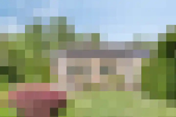 Boereweide 3 Oosterwolde thumbnail 24