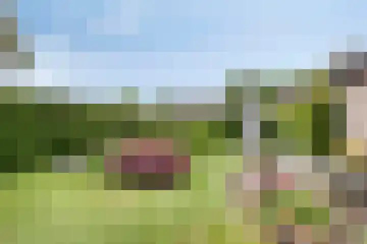Boereweide 3 Oosterwolde thumbnail 25