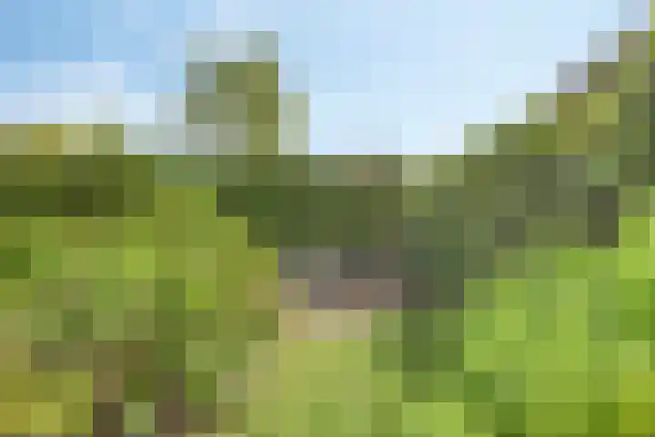 Boereweide 3 Oosterwolde thumbnail 26