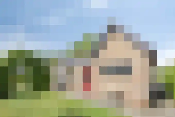 Boereweide 3 Oosterwolde thumbnail 27