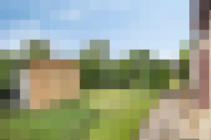 Boereweide 3 Oosterwolde thumbnail 28