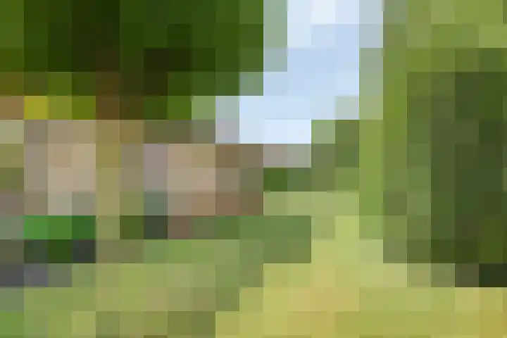Boereweide 3 Oosterwolde thumbnail 29