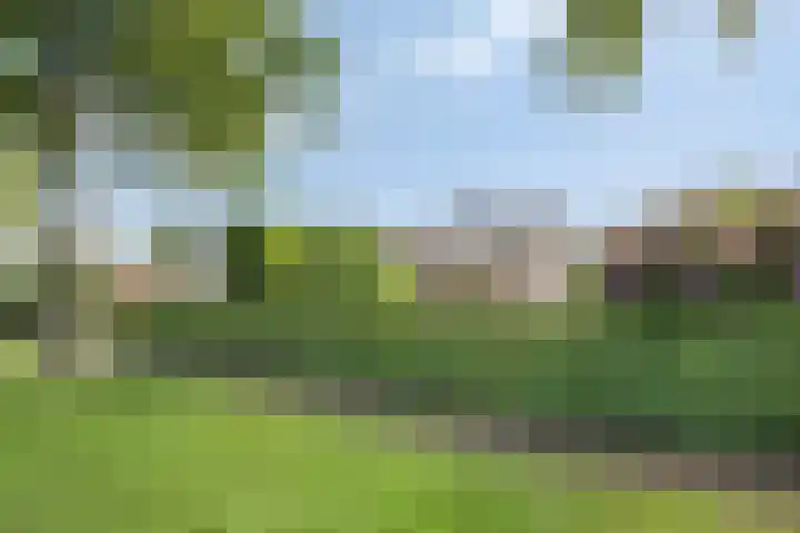 Boereweide 3 Oosterwolde thumbnail 30