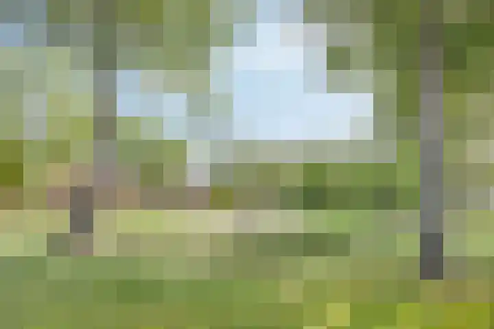 Boereweide 3 Oosterwolde thumbnail 31