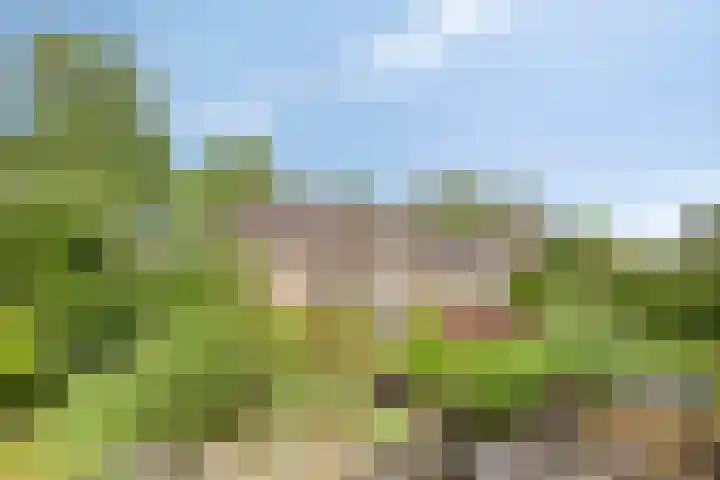 Boereweide 3 Oosterwolde thumbnail 35