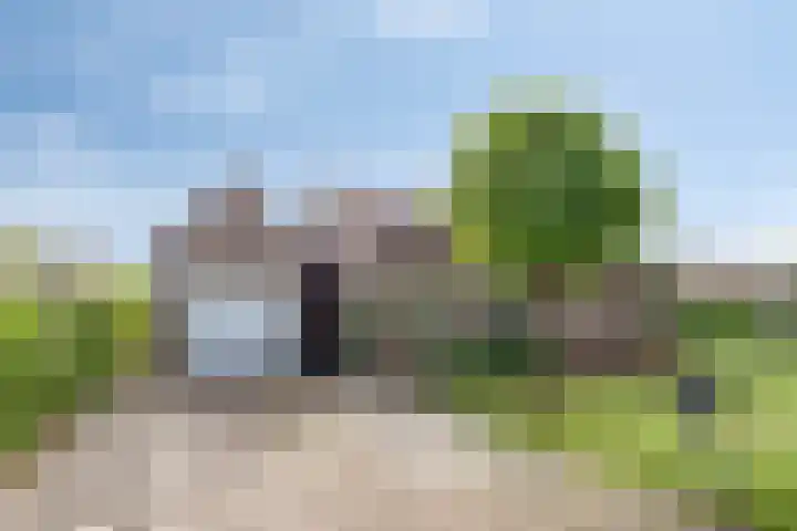 Boereweide 3 Oosterwolde thumbnail 4