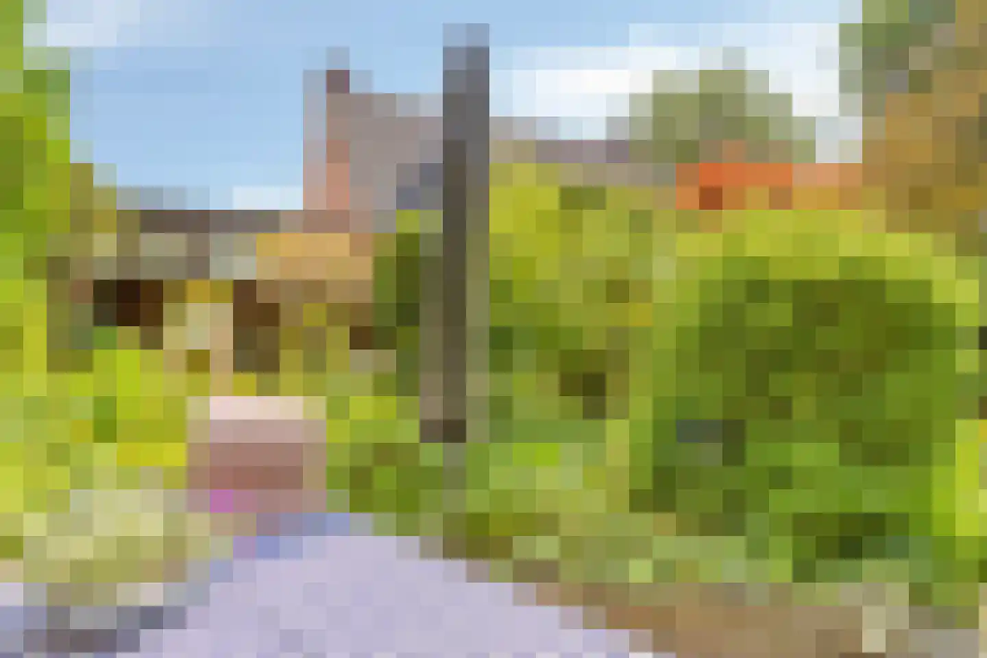 Boereweide 36 Oosterwolde thumbnail 27