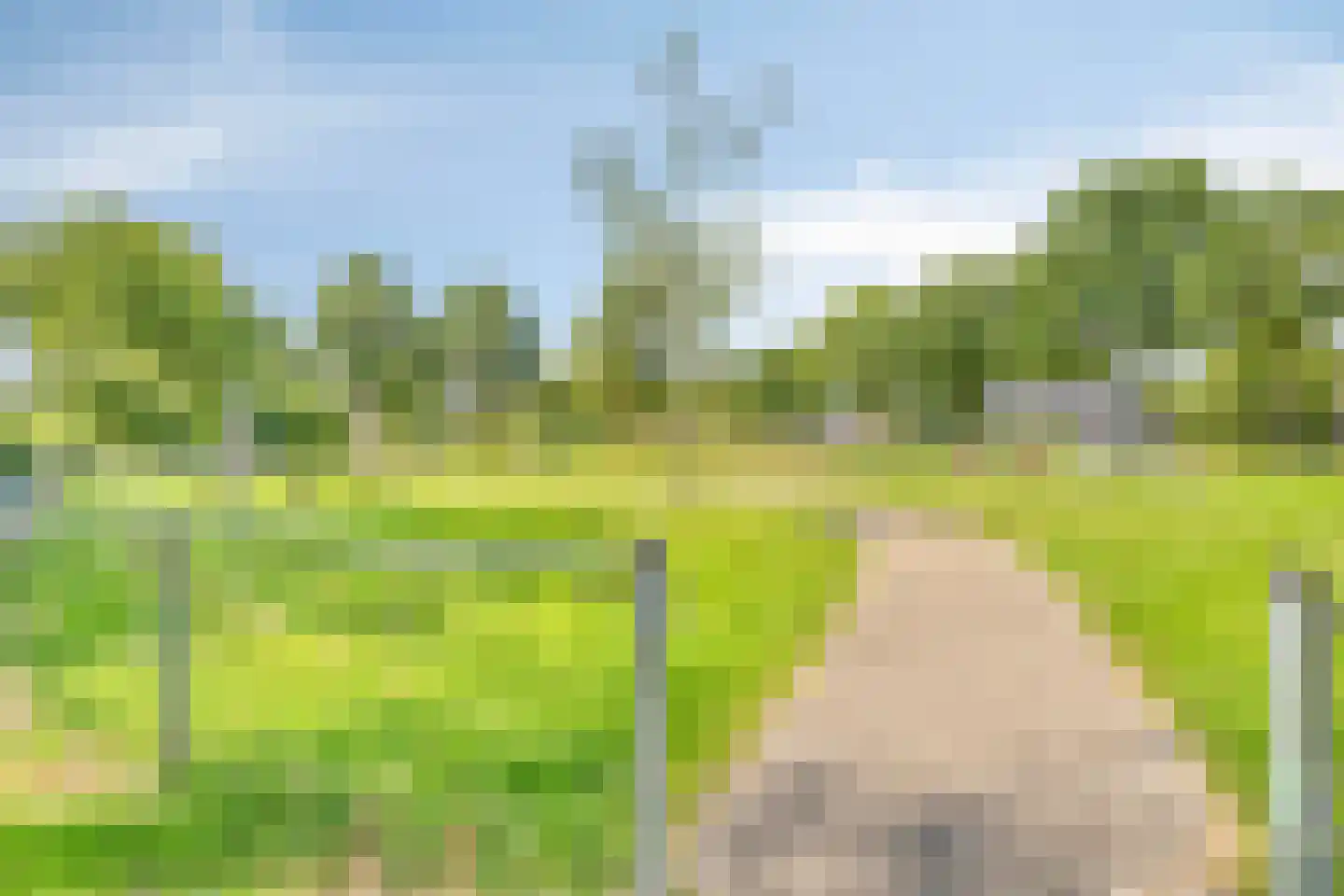 Boereweide 36 Oosterwolde thumbnail 31