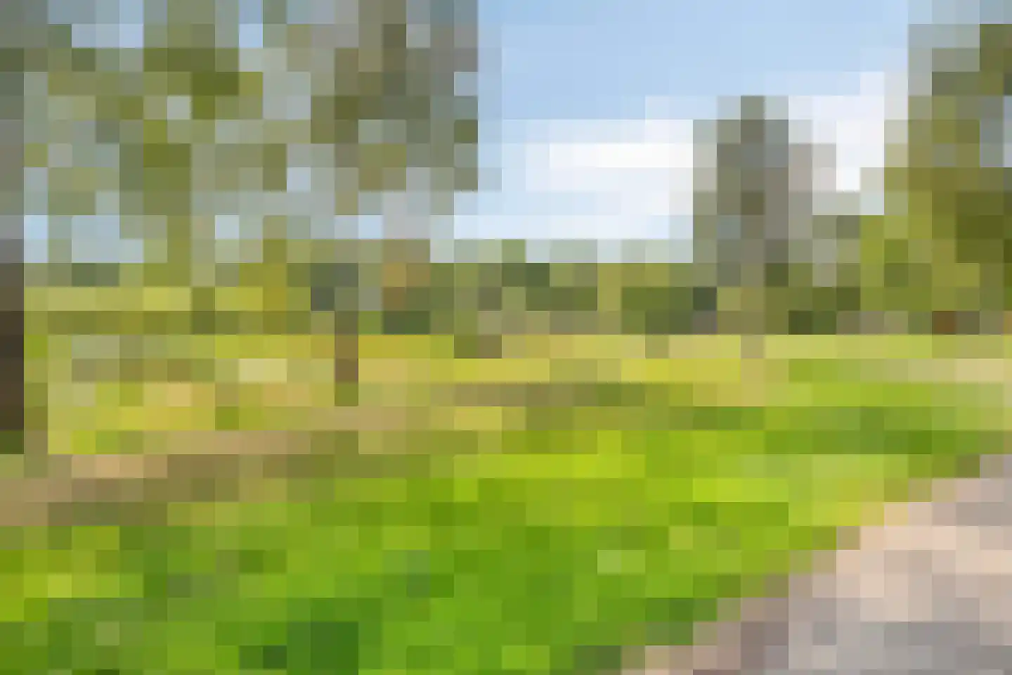 Boereweide 36 Oosterwolde thumbnail 33