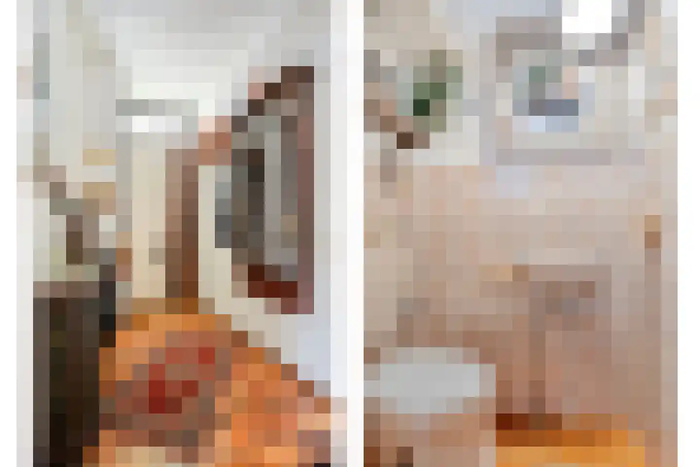 Boereweide 36 Oosterwolde thumbnail 6