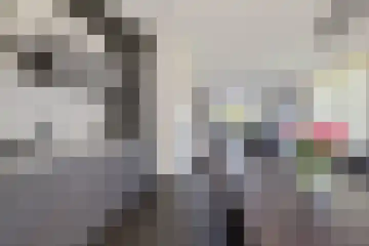 Boerfinne 4 Aldtsjerk thumbnail 11