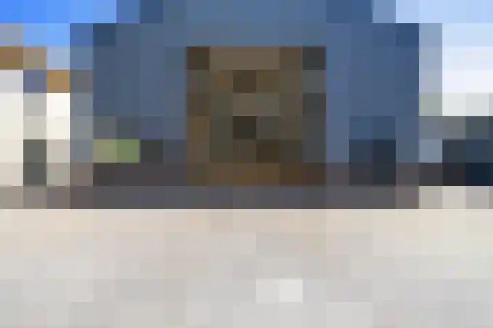 Boerfinne 4 Aldtsjerk thumbnail 29