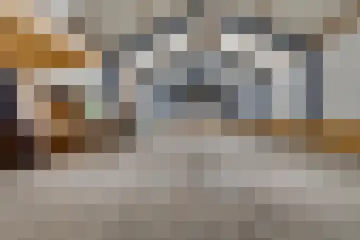 Boerfinne 4 Aldtsjerk thumbnail 30