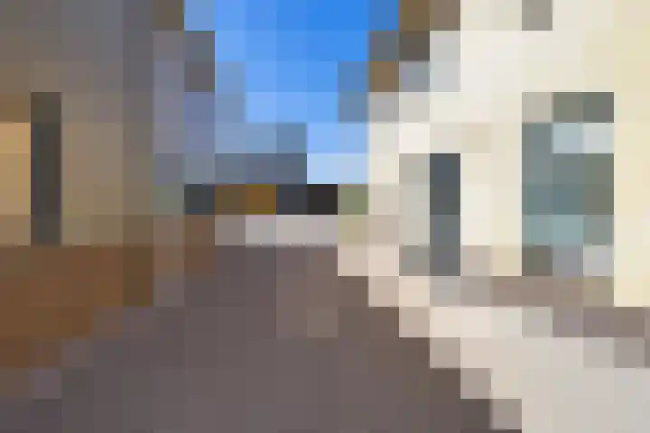 Boerfinne 4 Aldtsjerk thumbnail 35