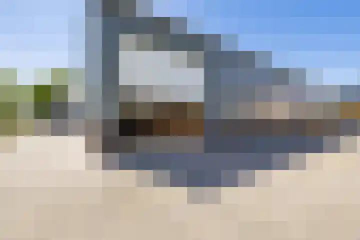 Boerfinne 4 Aldtsjerk thumbnail 36