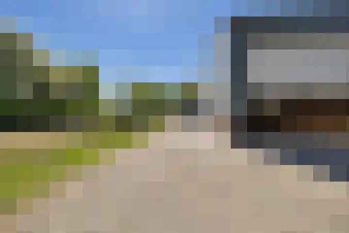Boerfinne 4 Aldtsjerk thumbnail 37