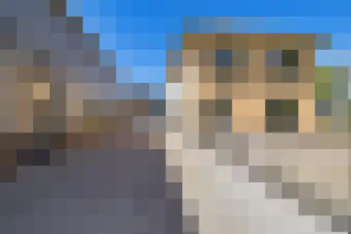 Boerfinne 4 Aldtsjerk thumbnail 38