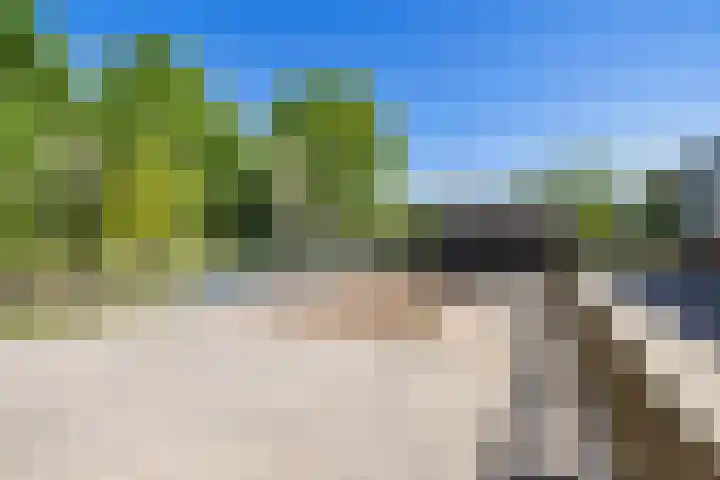 Boerfinne 4 Aldtsjerk thumbnail 39