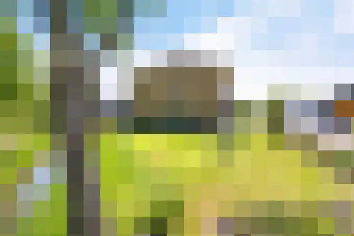 Boerfinne 4 Aldtsjerk thumbnail 41