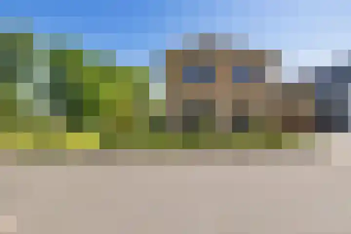 Boerfinne 4 Aldtsjerk thumbnail 42