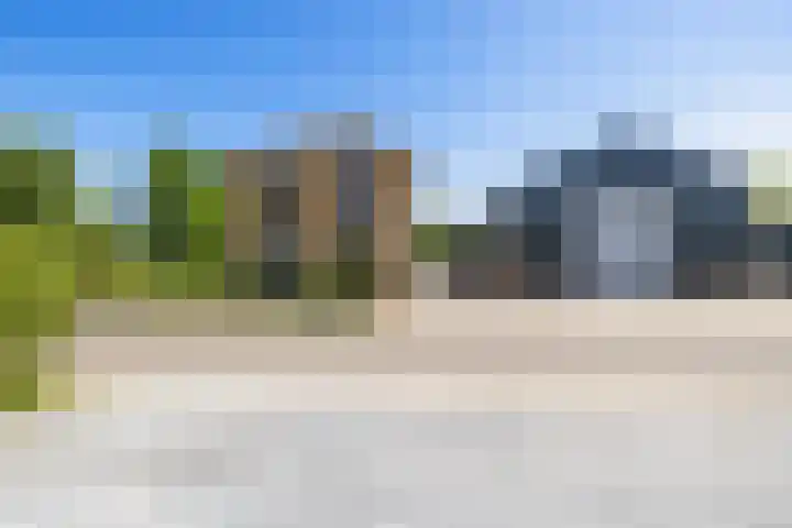 Boerfinne 4 Aldtsjerk thumbnail 43