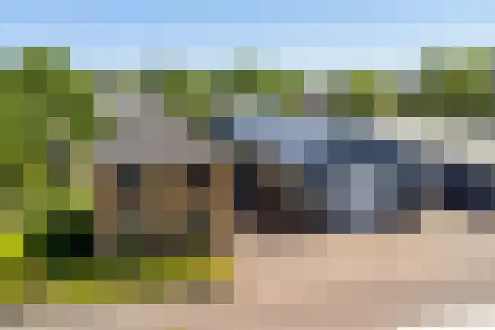 Boerfinne 4 Aldtsjerk thumbnail 46