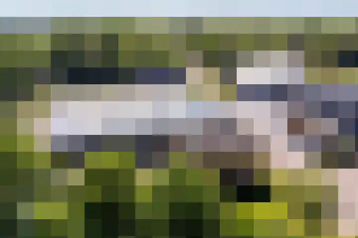 Boerfinne 4 Aldtsjerk thumbnail 48