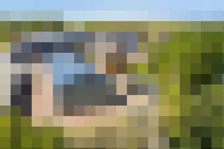 Boerfinne 4 Aldtsjerk thumbnail 51