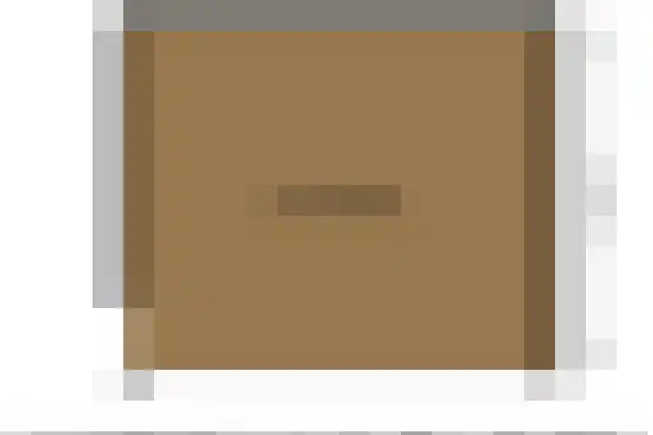 Boerfinne 4 Aldtsjerk thumbnail 55