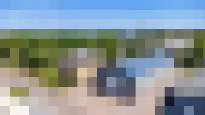 Boerfinne 4 Aldtsjerk thumbnail 57