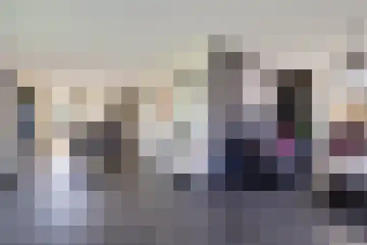 Boerfinne 4 Aldtsjerk thumbnail 6