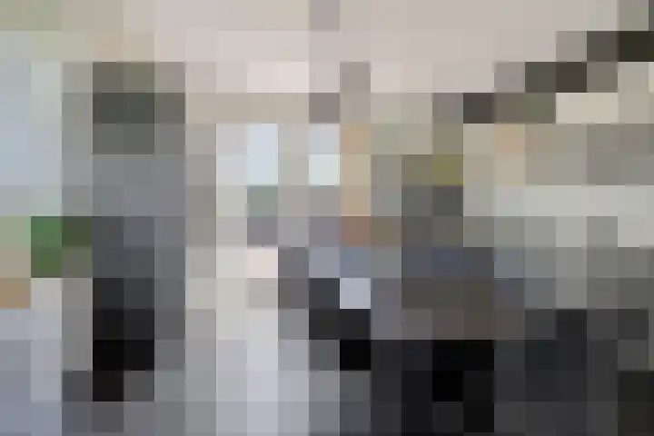 Boerfinne 4 Aldtsjerk thumbnail 8