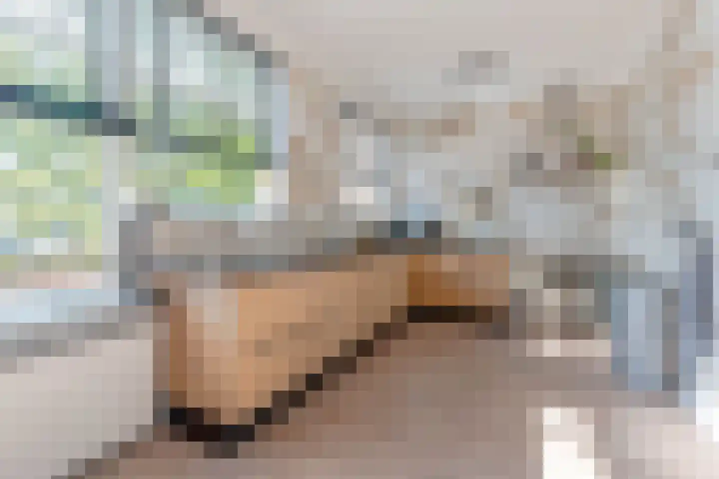 Boergoensestraat 122 B Rotterdam thumbnail 17