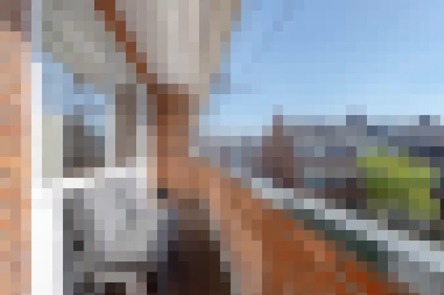 Boergoensestraat 122 B Rotterdam thumbnail 35