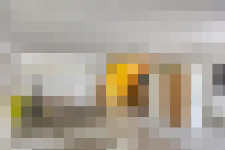 Boergoensestraat 25 B 02 Rotterdam thumbnail 13