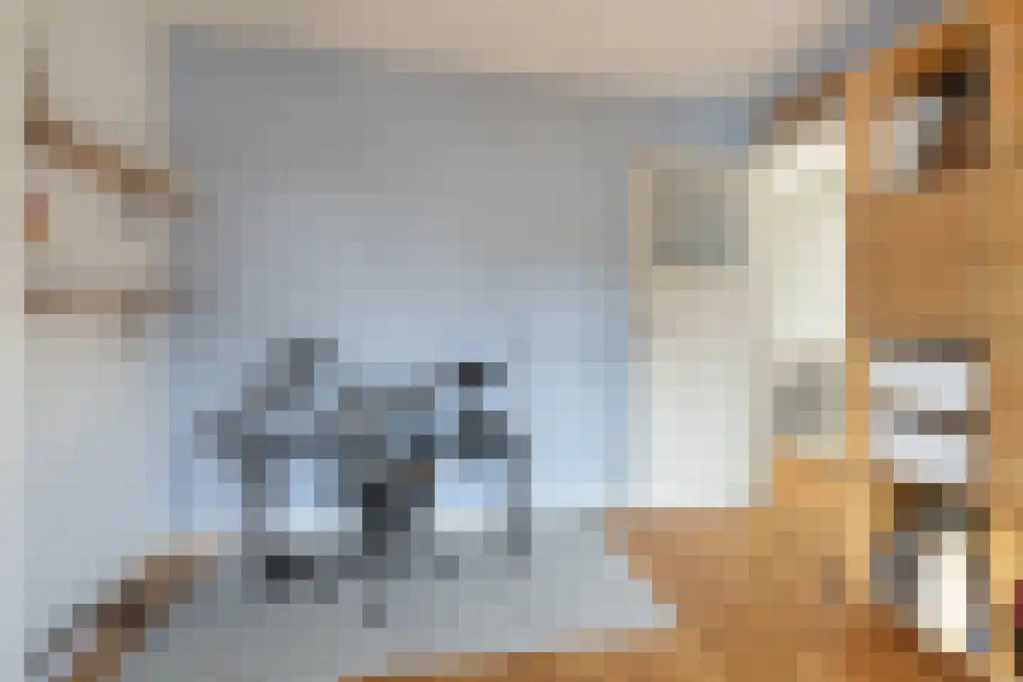 Boergoensestraat 62 A Rotterdam thumbnail 24