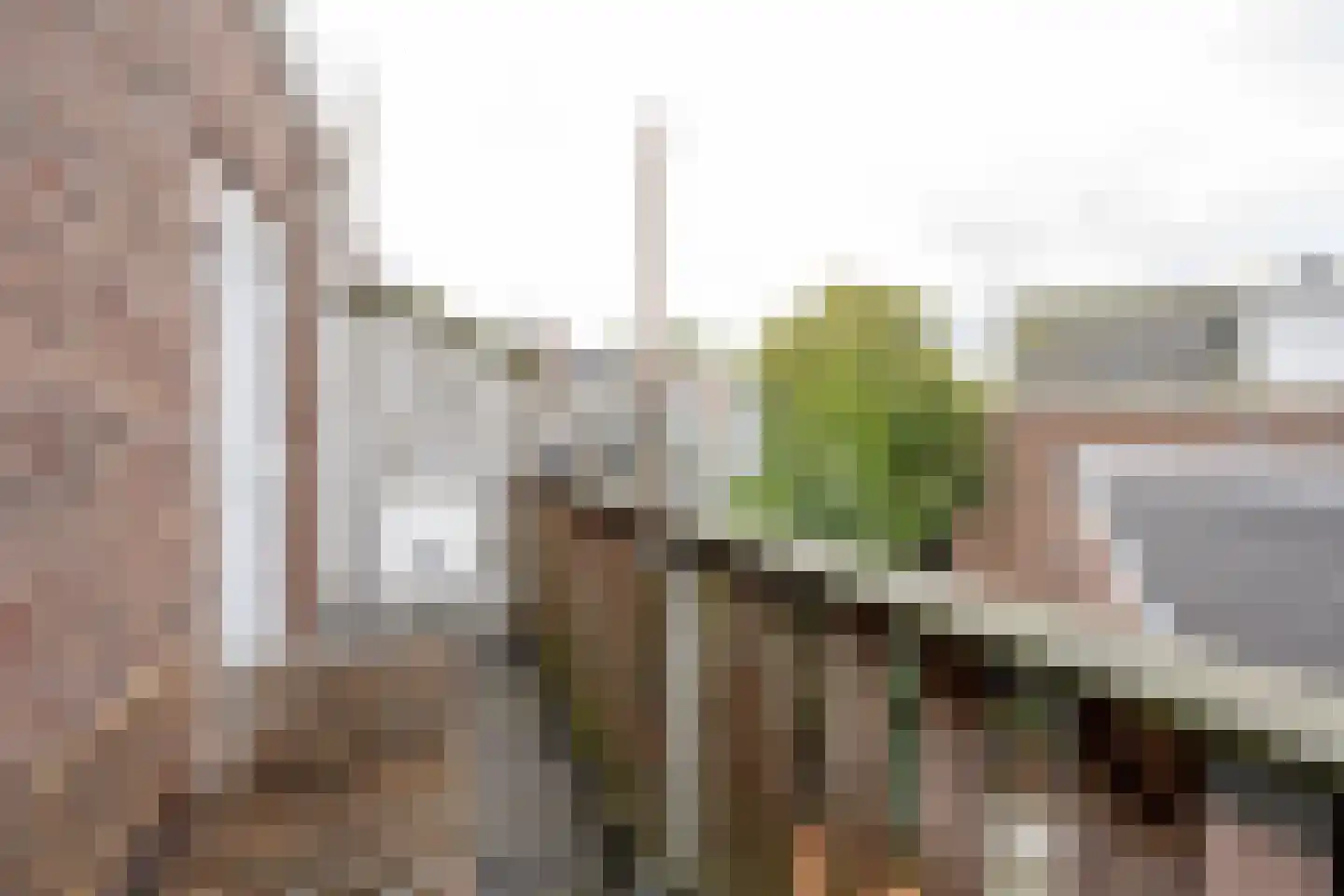 Boergoensestraat 62 A Rotterdam thumbnail 30