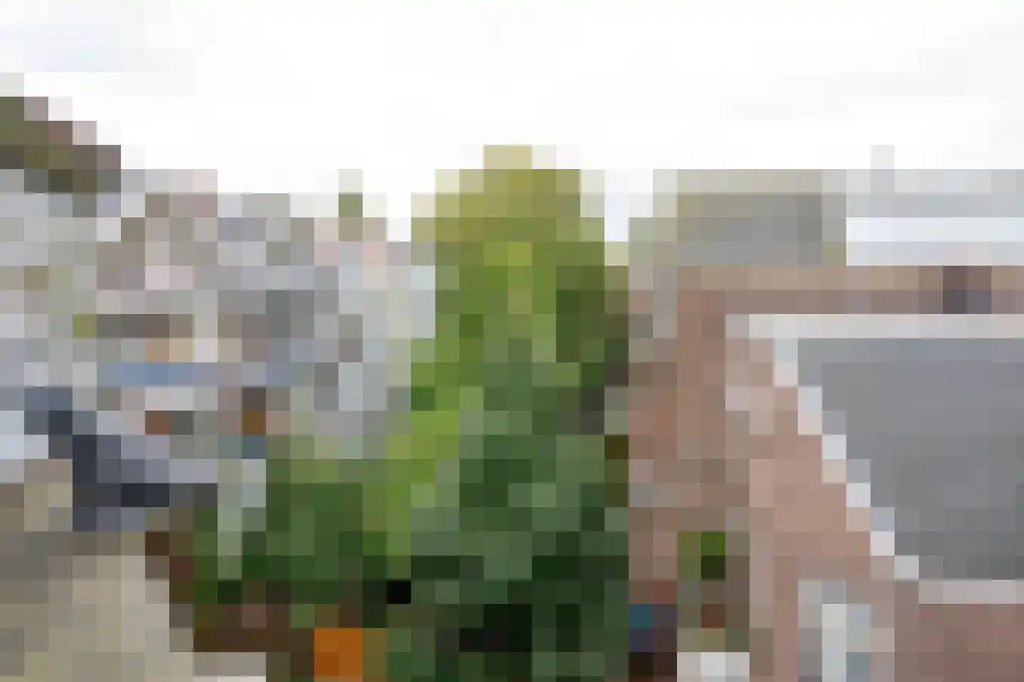 Boergoensestraat 62 A Rotterdam thumbnail 32