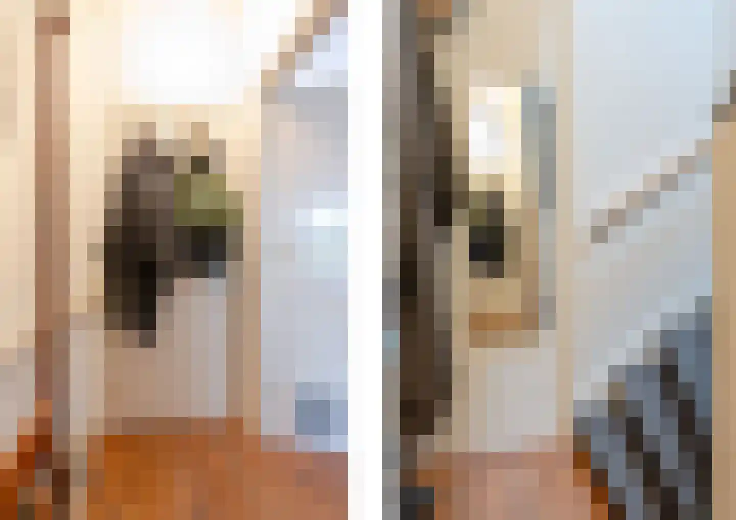 Boergoensestraat 62 A Rotterdam thumbnail 9