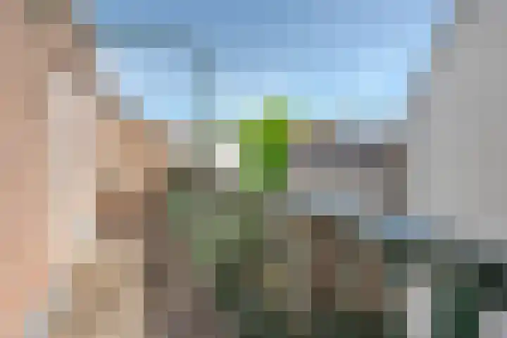 Boergoensestraat 64 A Rotterdam thumbnail 23
