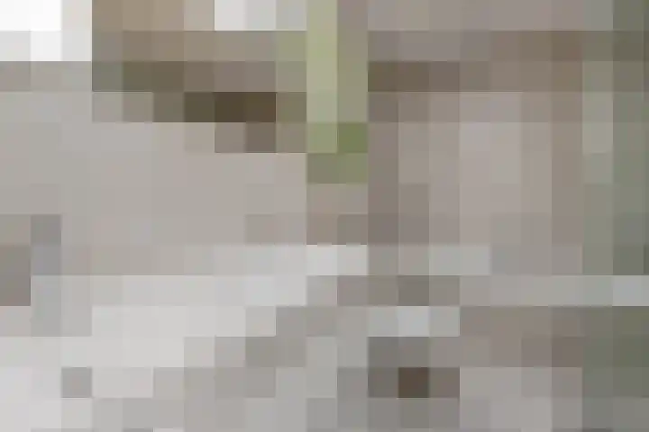 Boergoensestraat 64 A Rotterdam thumbnail 5