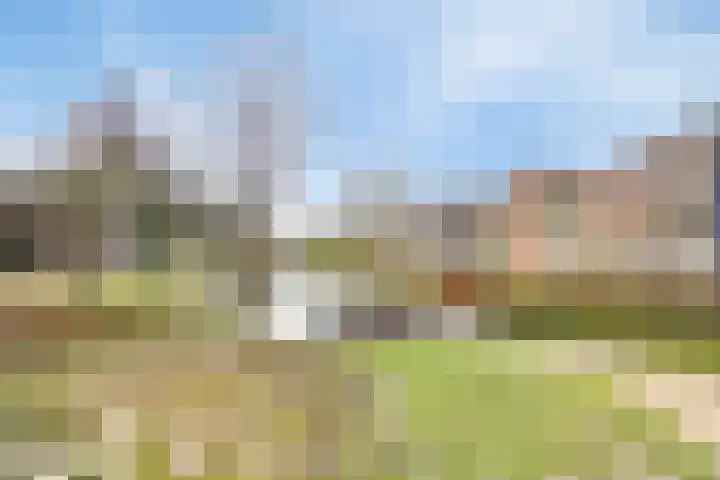 Boergoensevliet 13 Rotterdam thumbnail 14