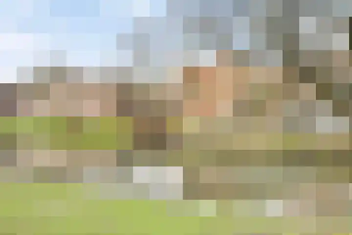 Boergoensevliet 13 Rotterdam thumbnail 15