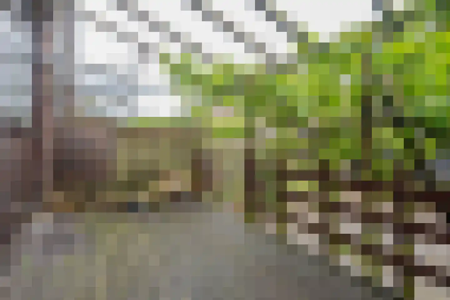 Boergoensevliet 131 B Rotterdam thumbnail 4