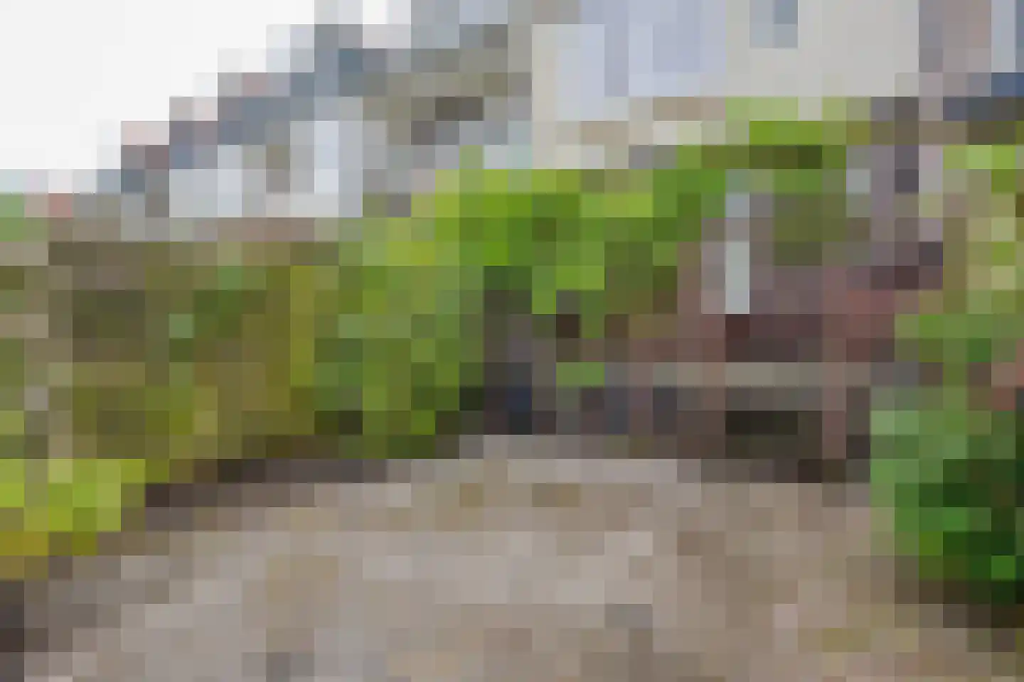 Boergoensevliet 131 B Rotterdam thumbnail 5