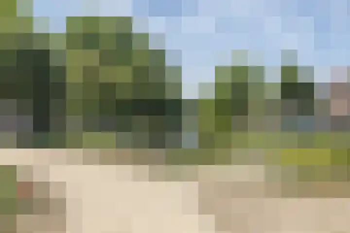 Boergoensevliet 2 B Rotterdam thumbnail 16
