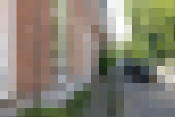 Boergoensevliet 2 B Rotterdam thumbnail 6