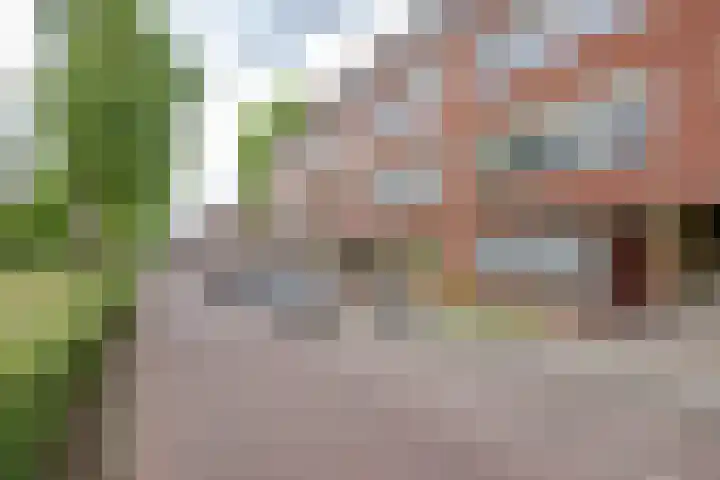 Boergoensevliet 49 C Rotterdam thumbnail 6